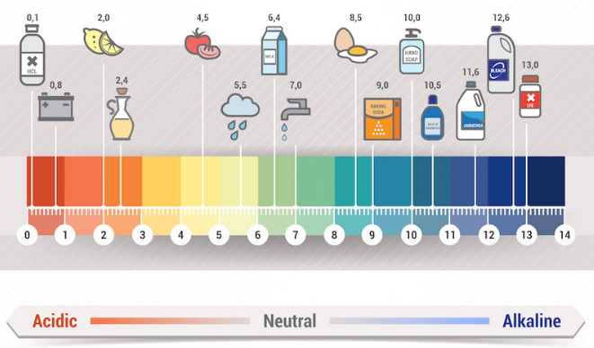 Độ pH của nước, thực phẩm 